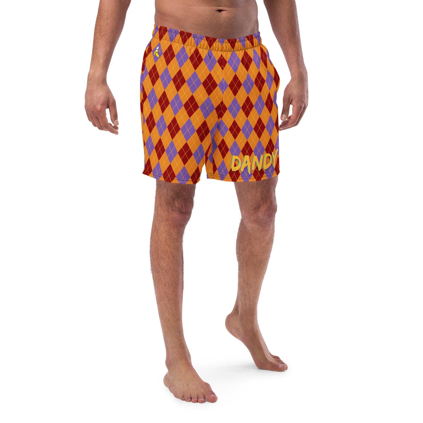 Argyle Men's swim trunks