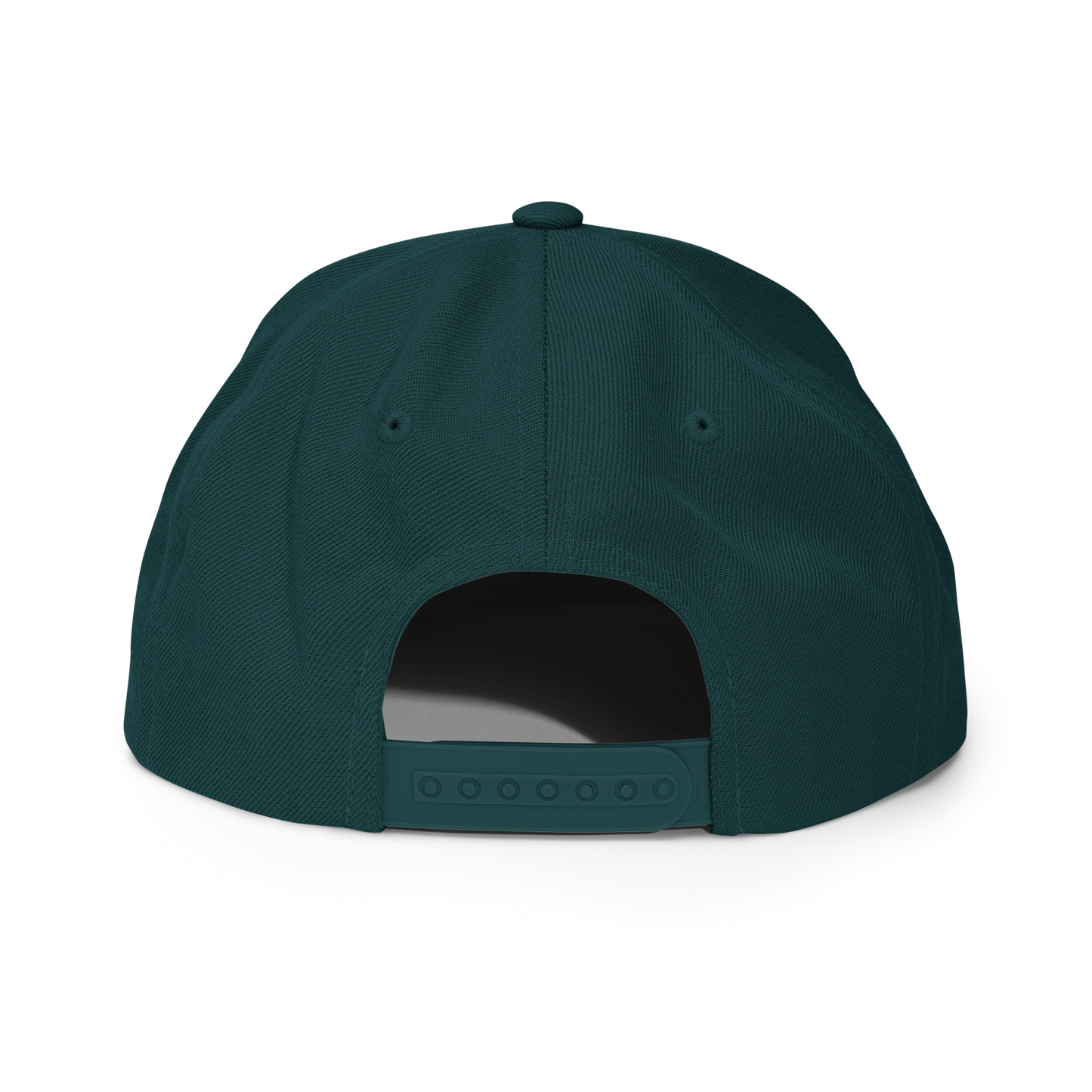 The Hub Snapback Hat