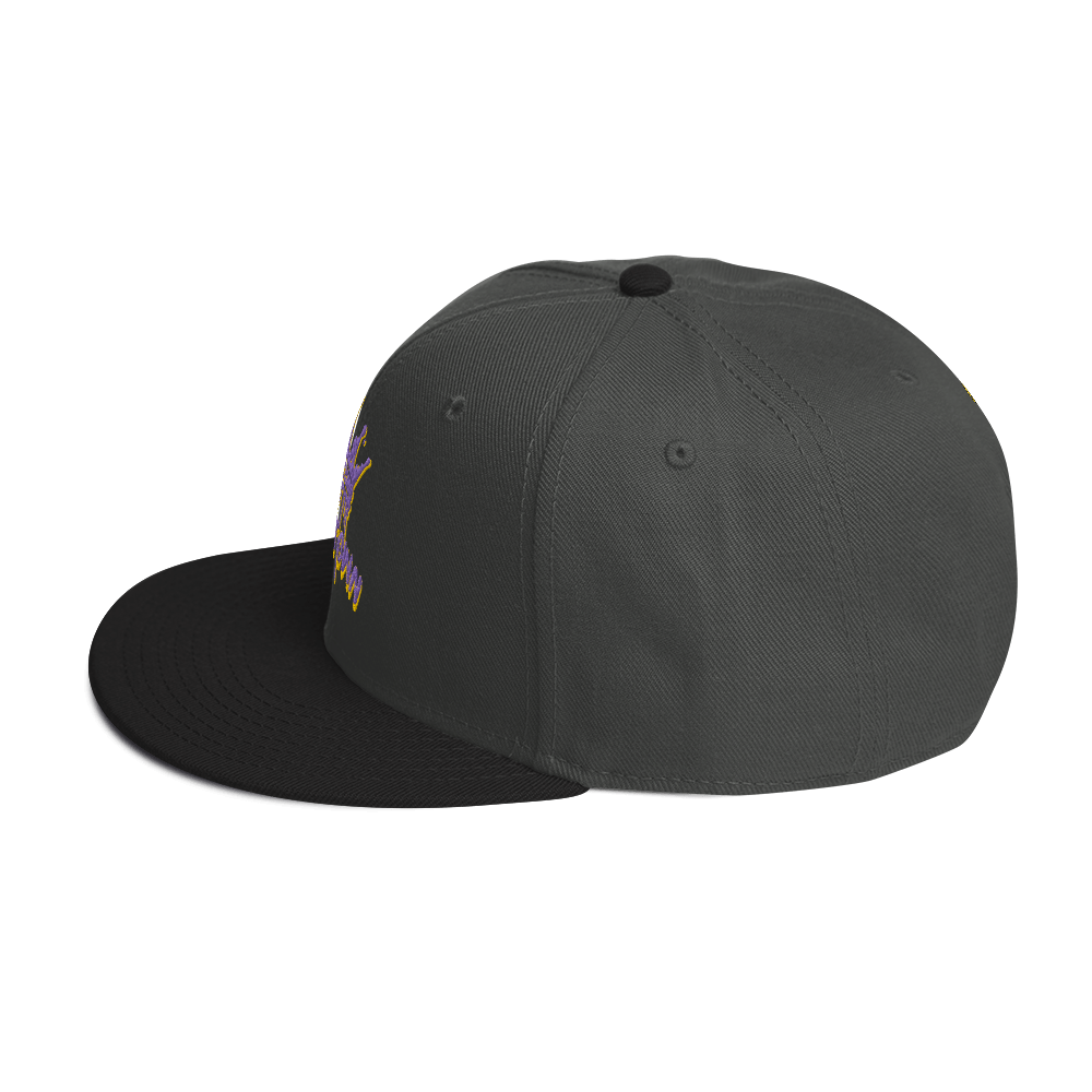 SacTown Snapback Hat