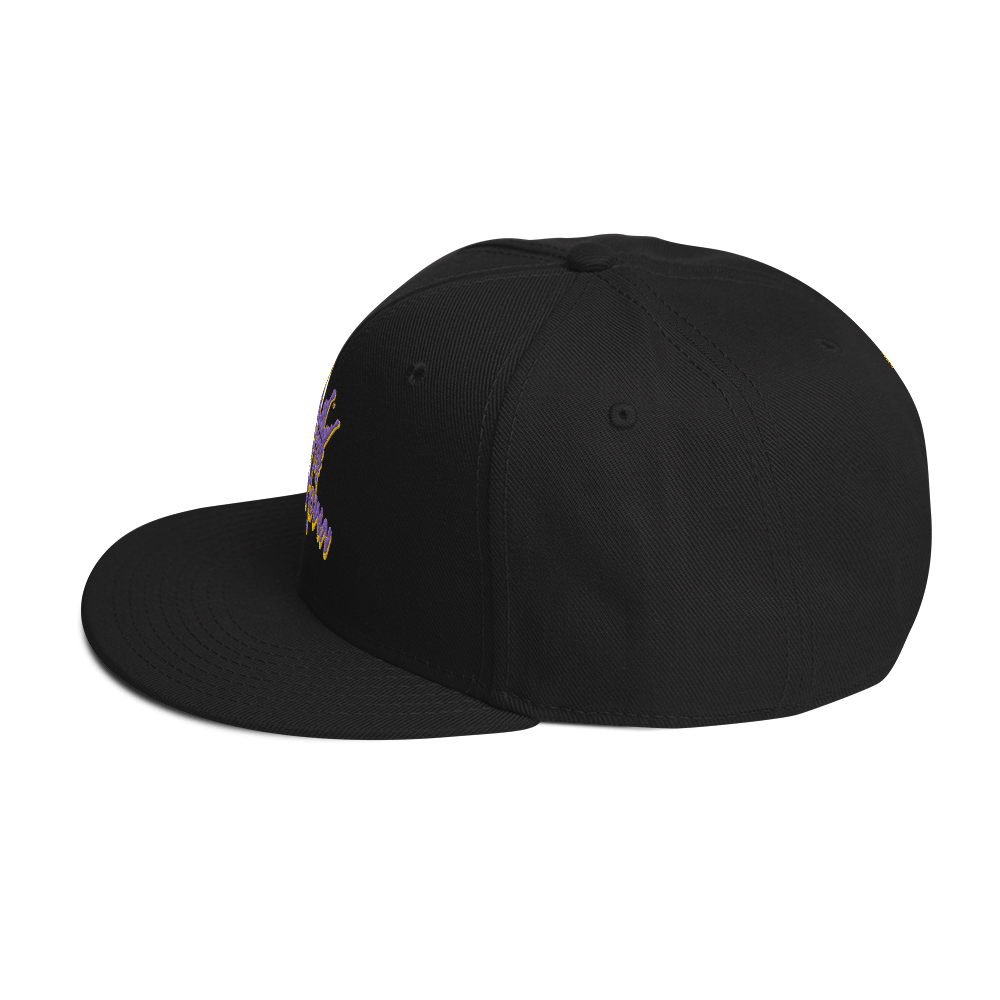 SacTown Snapback Hat