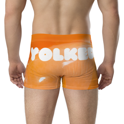 Yolked Boxer Briefs