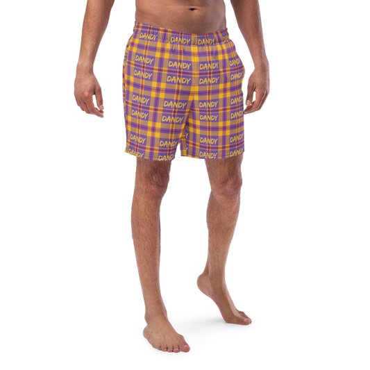 Plaid Men's swim trunks