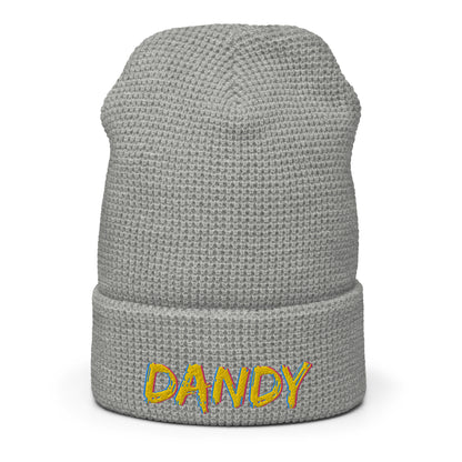 Dandy Waffle beanie